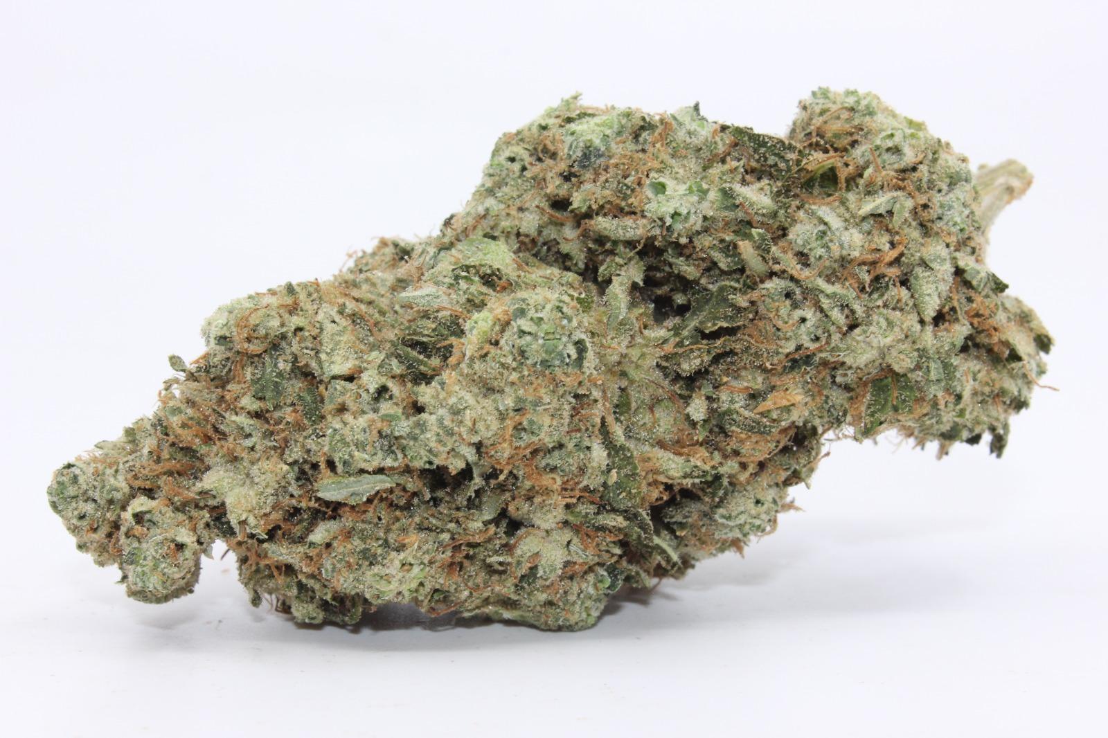 CANDY MASTER STARDAWG