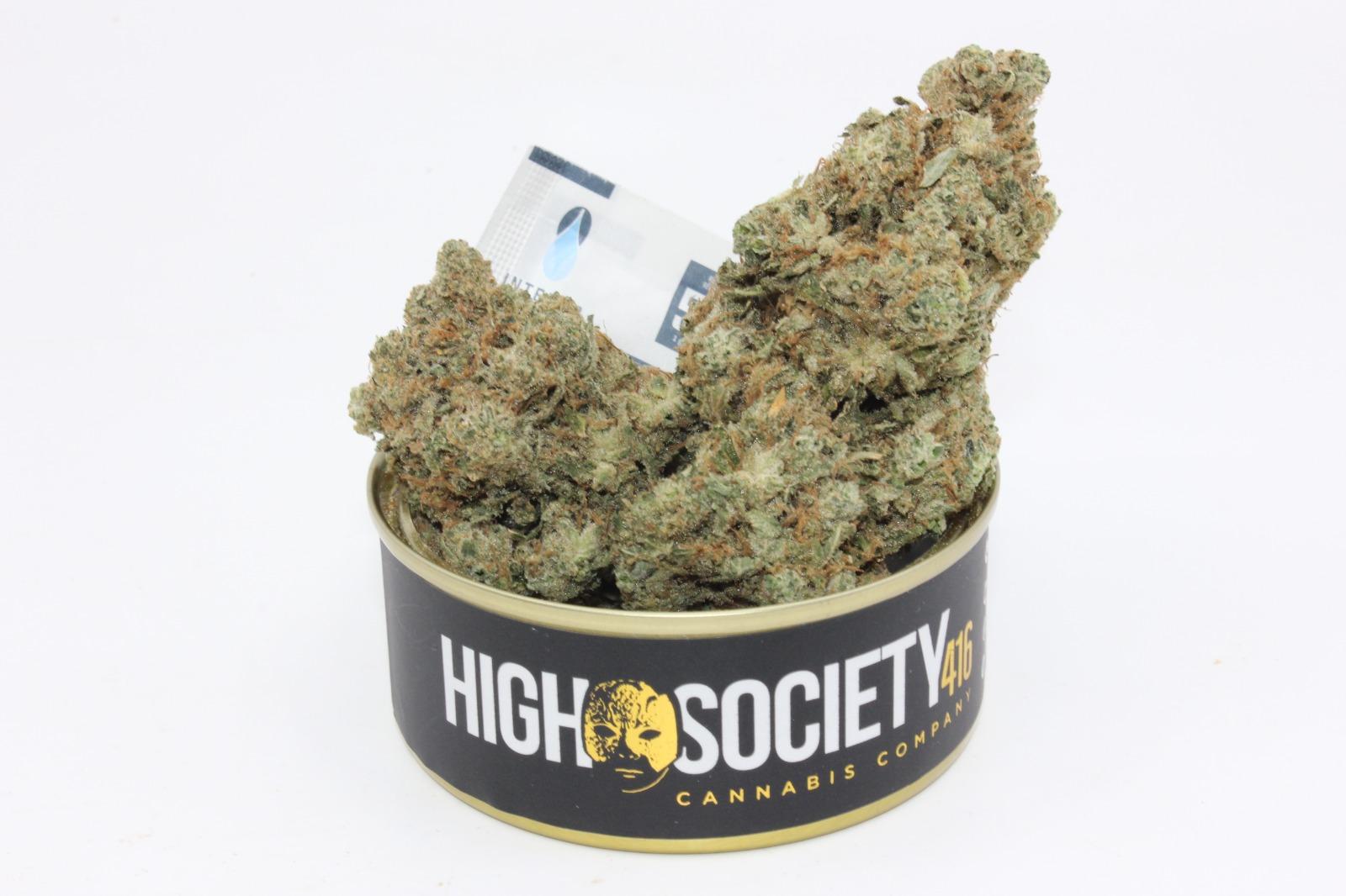 CANDY MASTER STARDAWG