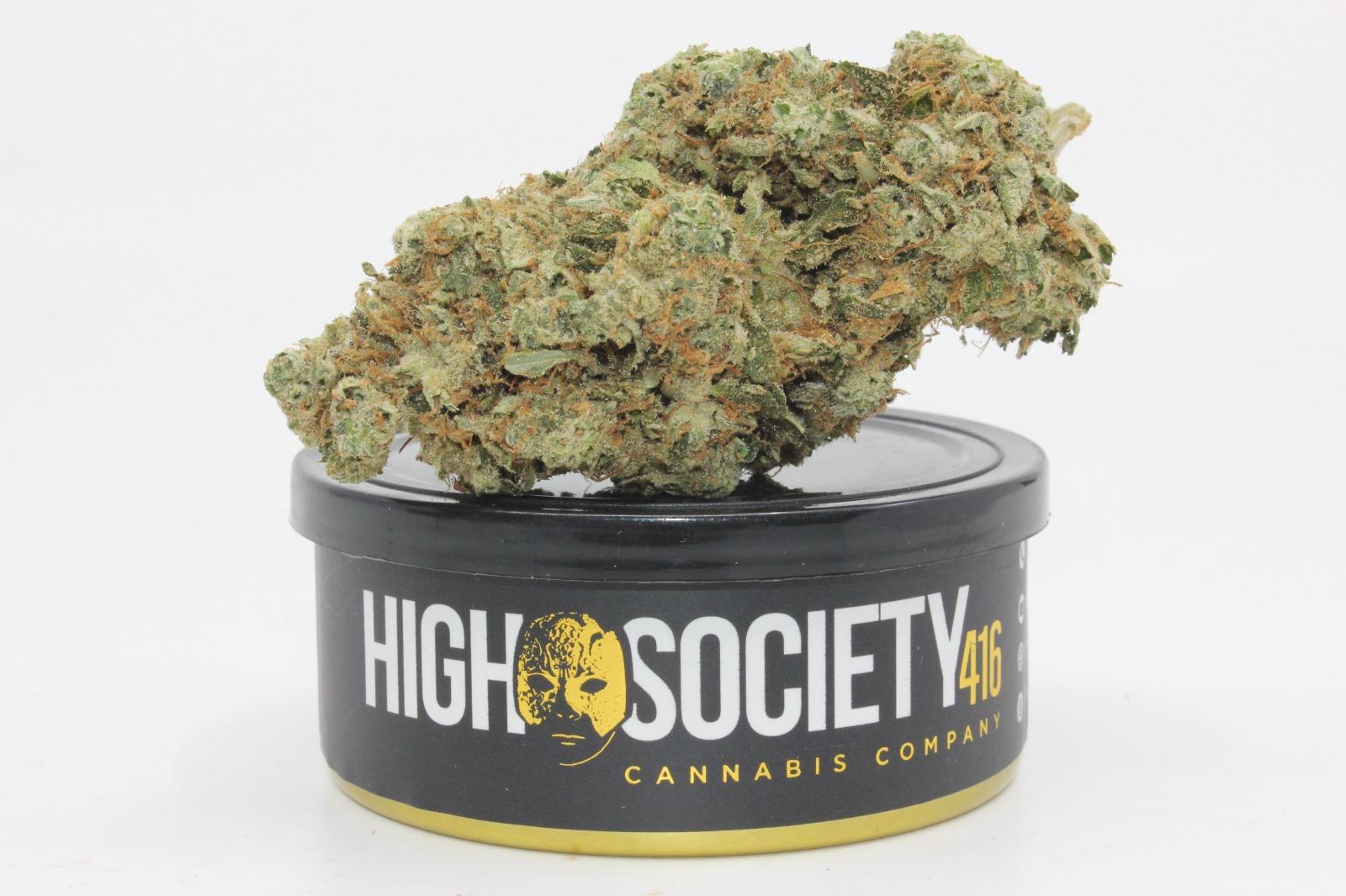 CANDY MASTER STARDAWG