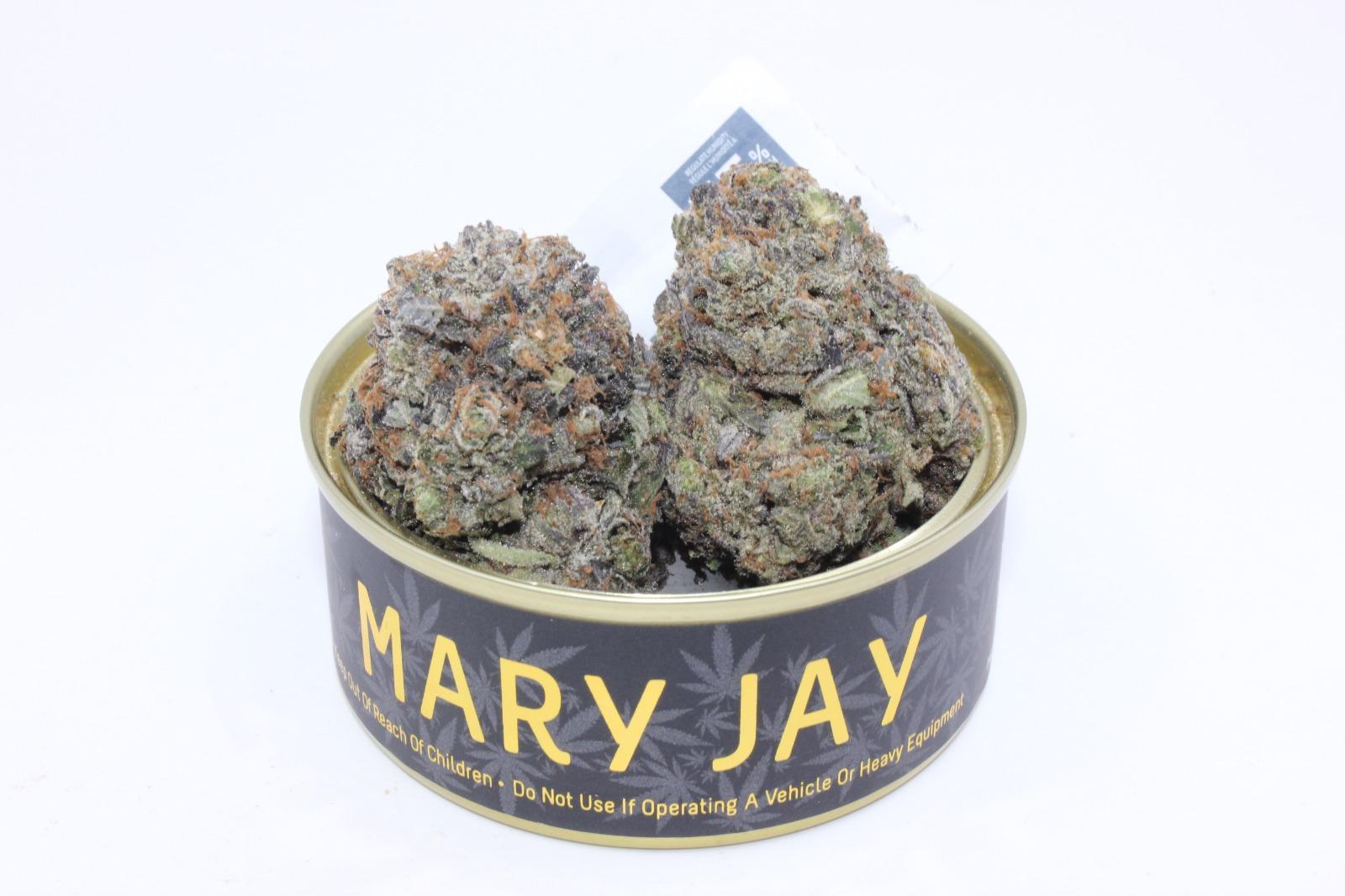 EXOTIC GAS - MARY JAY PREMIUM