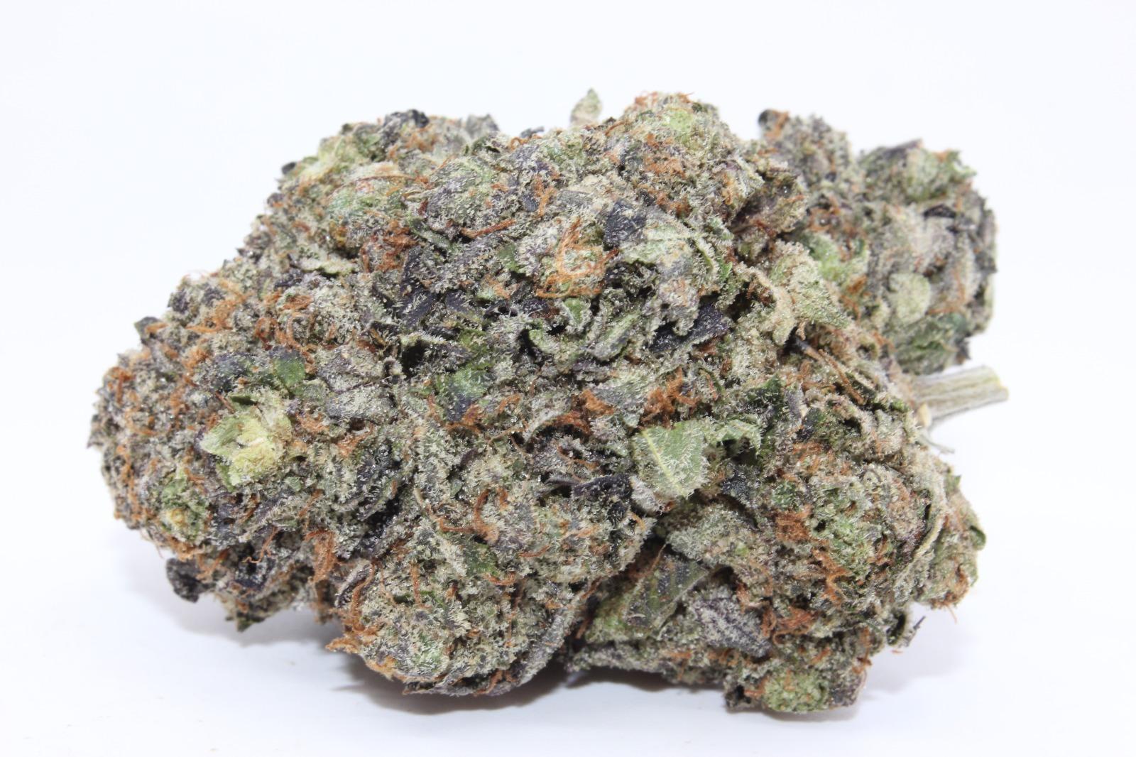 EXOTIC GAS - MARY JAY PREMIUM