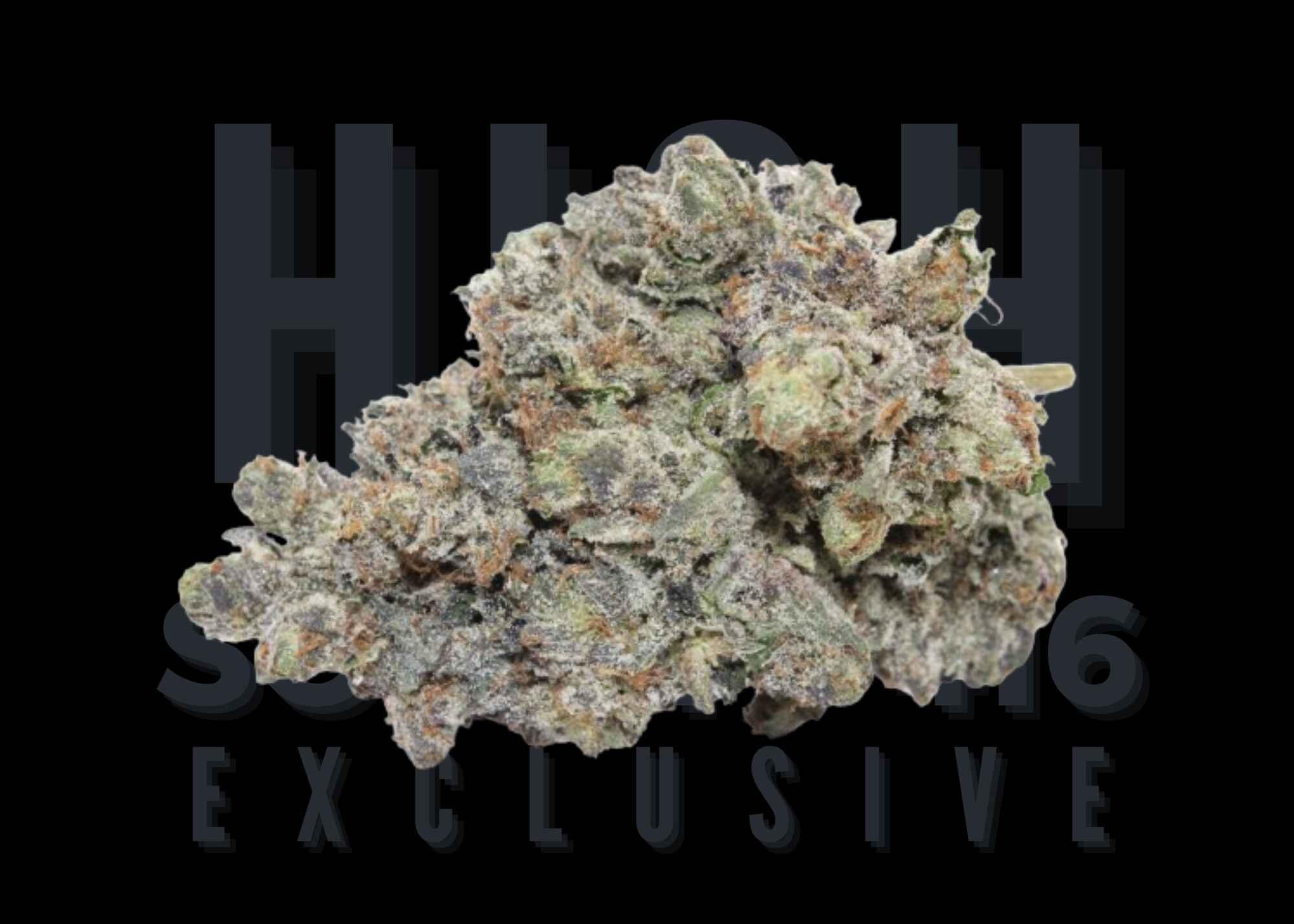 PASSOUT PINK - MARY JAY PREMIUM