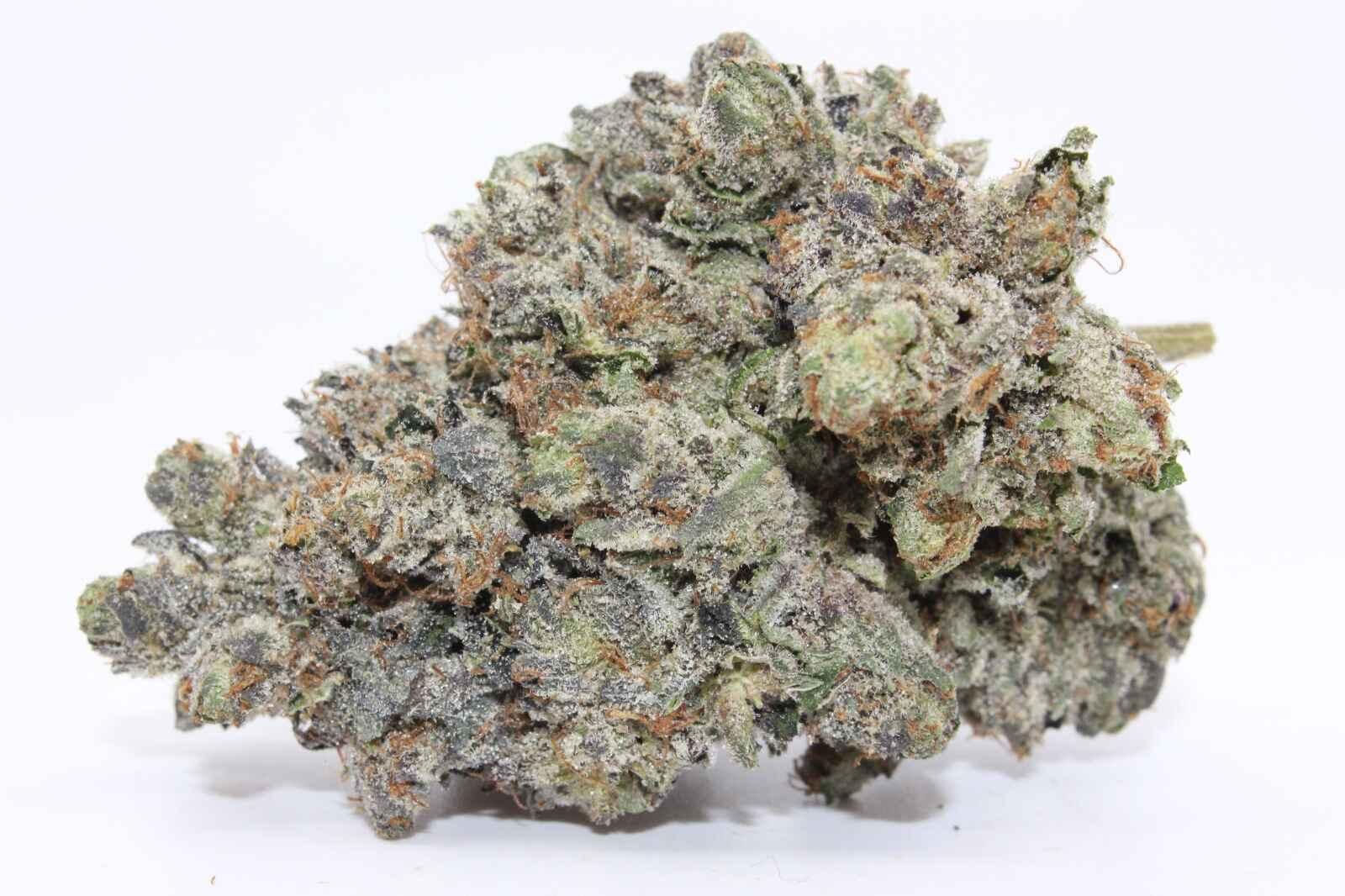 PASSOUT PINK - MARY JAY PREMIUM