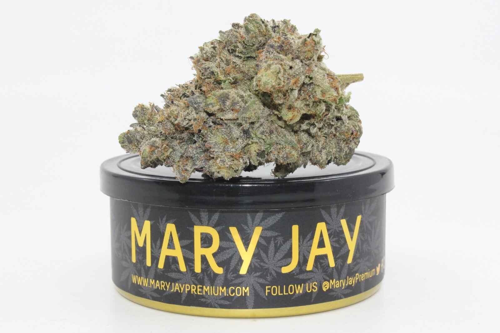 PASSOUT PINK - MARY JAY PREMIUM